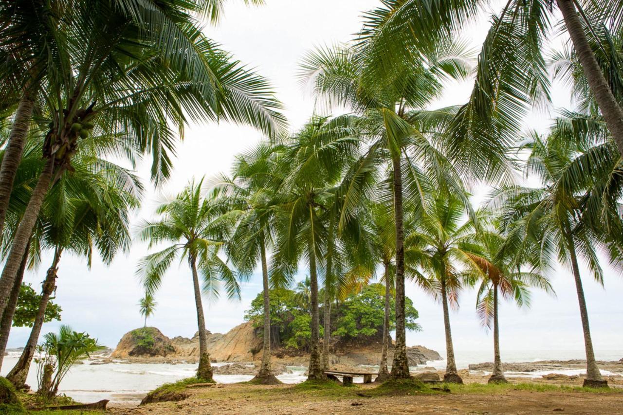 Pacific Edge Eco Lodge Dominical Eksteriør bilde