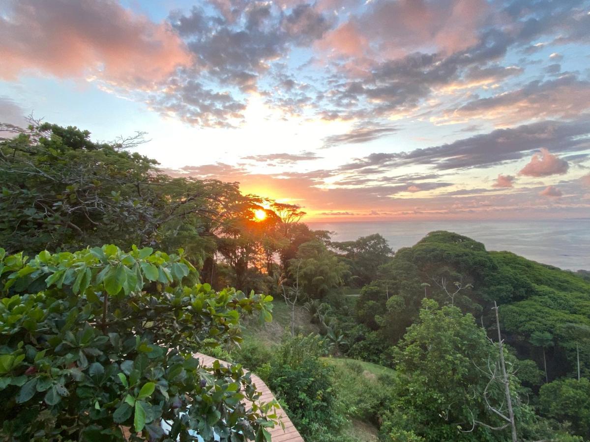 Pacific Edge Eco Lodge Dominical Eksteriør bilde