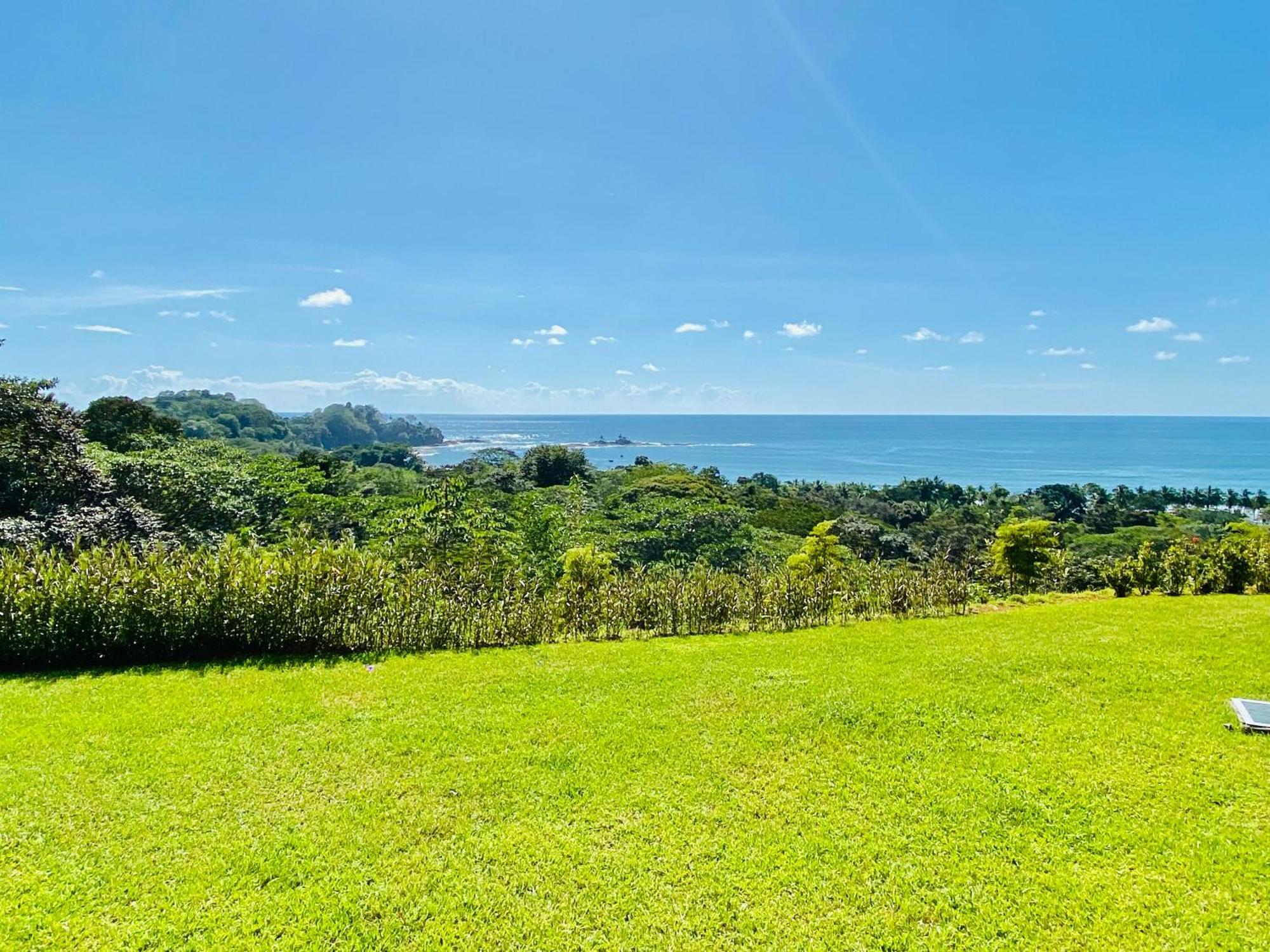 Pacific Edge Eco Lodge Dominical Rom bilde